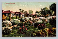 California Bungalows Residential Street Scene Flowers Architecture VTG Postcard picture