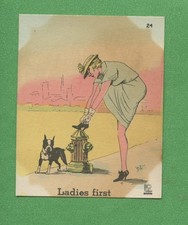 1937 Dogs by Zito No 24 Ladies First Boston Terrier Vintage Trading Card picture