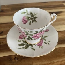 Roslyn Bone China Rosa Fiesta Cup & Saucer Summer Beauty Floral Gold Trim Set picture