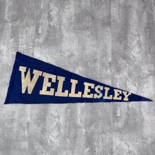 Vintage Wellesley College Felt Pennant Wright & Ditson Sounvenir Flag 1920s picture