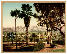 USA, California, Pasadena, Snow and Palms Photochrome, Vintage Photochrome picture