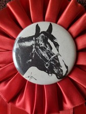 RICHLAND COUNTY Horse Show Ribbon Award Equestrian 
