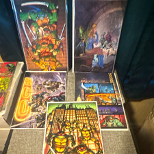 TMNT 300 anniversary issue 20 lot of 5 virgin covers BB variants picture