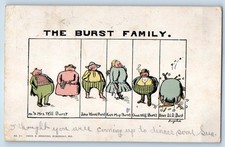1908 Humor The Burst Family Stittville New York NY Posted Antique Postcard picture