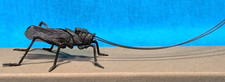Grasshopper Old Copper Statue Japanese Jizai-Okimono Figurine Sculpture L20cm picture