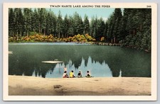 Twain Harte Lake, Sonora Pass Highway, Tuolumne County CA California Postcard picture