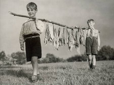 Enterprising evacuees Brian Ganer and Tom Pharo contribute t - 1941 Old Photo 1 picture