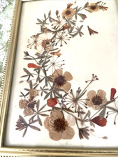 Mid Century Died Flower Art Boho Cottage Decor Earthy Eclectic Vintage picture