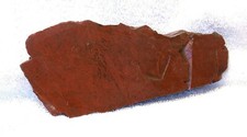 1640 Gram Rare Red Moss Agate Cab Cabochon Gem Stone Gemstone Slab Rough US96 picture