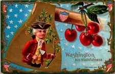 Young George Washington Patriotic Hatchet Cherry Tree Flags Shields Wensch-A3 picture