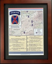 10th Mountain Division Unit Patch and  History on  OEF  11