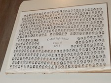 Kalamazoo Michigan Central high School class of 1954  PHOTO - GOOD - 20 X 16 IN  picture