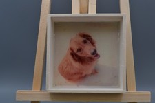 Golden Retriever Dog Small Keepsake Box Wood Trinket Ring Dish Valet Puppy Gift picture