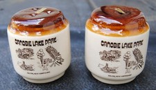 Vintage Canobie Lake Park Salt & Pepper Shakers.  Brown Drip Design. Never Used picture