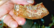 Beautiful Rough Faced Rainbow Gembone picture