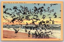 Dinner-Time for the Gulls Belmar New Jersey Beach Postcard PC223 picture