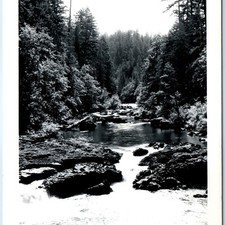 c1950s Santiam River, OR RPPC Oregon Forest Mountain Stream Landscape Postcard picture