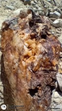 25 Lbs California Gold Ore ** High Grade*** picture