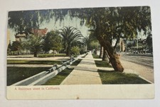 Vintage UDB Postcard ~ A Residence Street in California CA picture