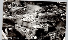 DICKSON'S MOUNDS SP IL c1950 postcard illinois real photo rppc indian skeletons picture
