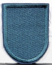 US Army 19th Special Forces Group Beret Flash Patch Insignia Green Berets V 2 picture