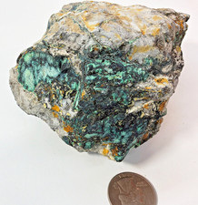 1 pound 9 oz of Natural American Peacock Turquoise Rough Nevada Turquoise rough picture