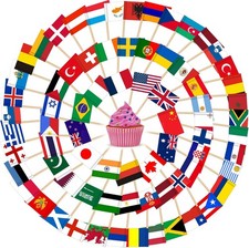 Different Countries Toothpick Flag 100 Pcs Mini Flags on Sticks World Cup Flag picture