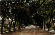 Stockton CA One of the beautiful Residence Streets Postcard used 1908 picture