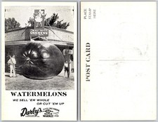 Exaggerated Supermarket Display Giant Watermelon Postcard picture