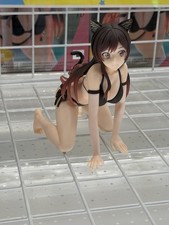 Rent-A-Girlfriend Yumemirize Chizuru Mizuhara Cat Ears Swimsuit Figure SEGA picture