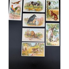 Antique Aesop's Fables Trade Cards Lot of 7 Illustrated Animal Story Collectible picture