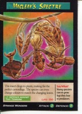 Weird N’ Wild Creatures Strange Wonders Card # Macleay's Spectre # 2006 picture