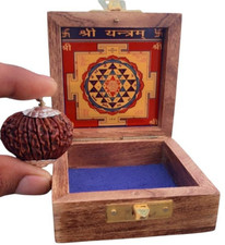 21 Mukhi Rudraksha Pendant, Sterling Silver, Original Certified Nepal Bead picture