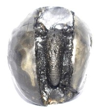 Sacred Adwaitya Pratyangira Devi Golden Mahakali Shaligram - Gandaki River Nepal picture