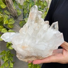 5.3lb A+Large Natural clear white Crystal Himalayan quartz cluster /mineralsls picture
