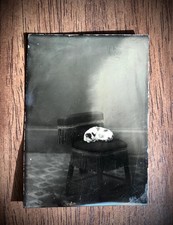 Antique 1870s SLEEPING CAT Tintype Unusual Photo Antique picture