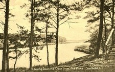 Southold Long Island Vintage Postcard - Down the Creek from The Pines c1915 NY picture