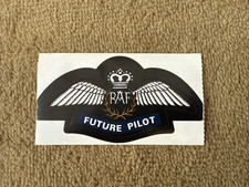 Vintage RAF Royal Air Force Future Pilot sticker 2..5x4.25 inches early 1990s picture