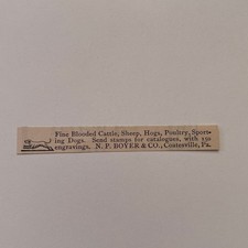 N. P. Boyer & Co. Fine Blooded Cattle Coatesville PA 1894 Clipping SAI6-S49 picture