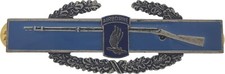Combat Infantry 173rd Airborne Badge US Army Patch CIB Military Insignia Pin picture