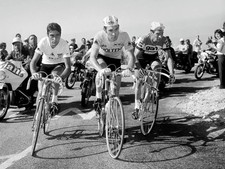Photo Luis Ocaña, Eddy Merckx & Raymond Poulidor - Tour de France 1972 - 15x20 picture