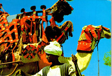914 Northern Ethiopia Vintage Unposted Postcard picture