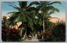 A Mid Winter Scene in FL Jacksonville Vintage Postcard TS-213 picture