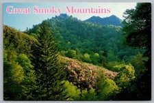 Great Smoky Mountains Chimney Tops Rhododendron Hiking Bear NC TN Postcard C1 picture
