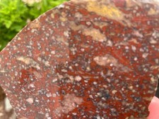 California Seaside Jasper slab, 4.5