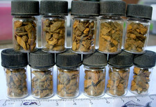 1 jar of 3+ grams of Dronino Oxide fragments oxidite Meteorite Russia low iron picture