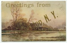 Cochecton NY c1908 Greetings From Postcard New York picture