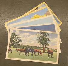Original Extremely RARE Post Cards From WWII Great For A WWII collector picture