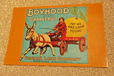 Boyhood Brand Grapefruit Vintage Fruit Crate Label postcard w/ Donkey & cart picture