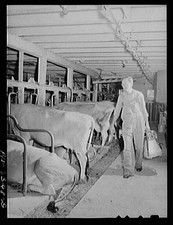 Vernon County Wisconsin Edward Saugstad 1940s Automatic Milking Machine picture